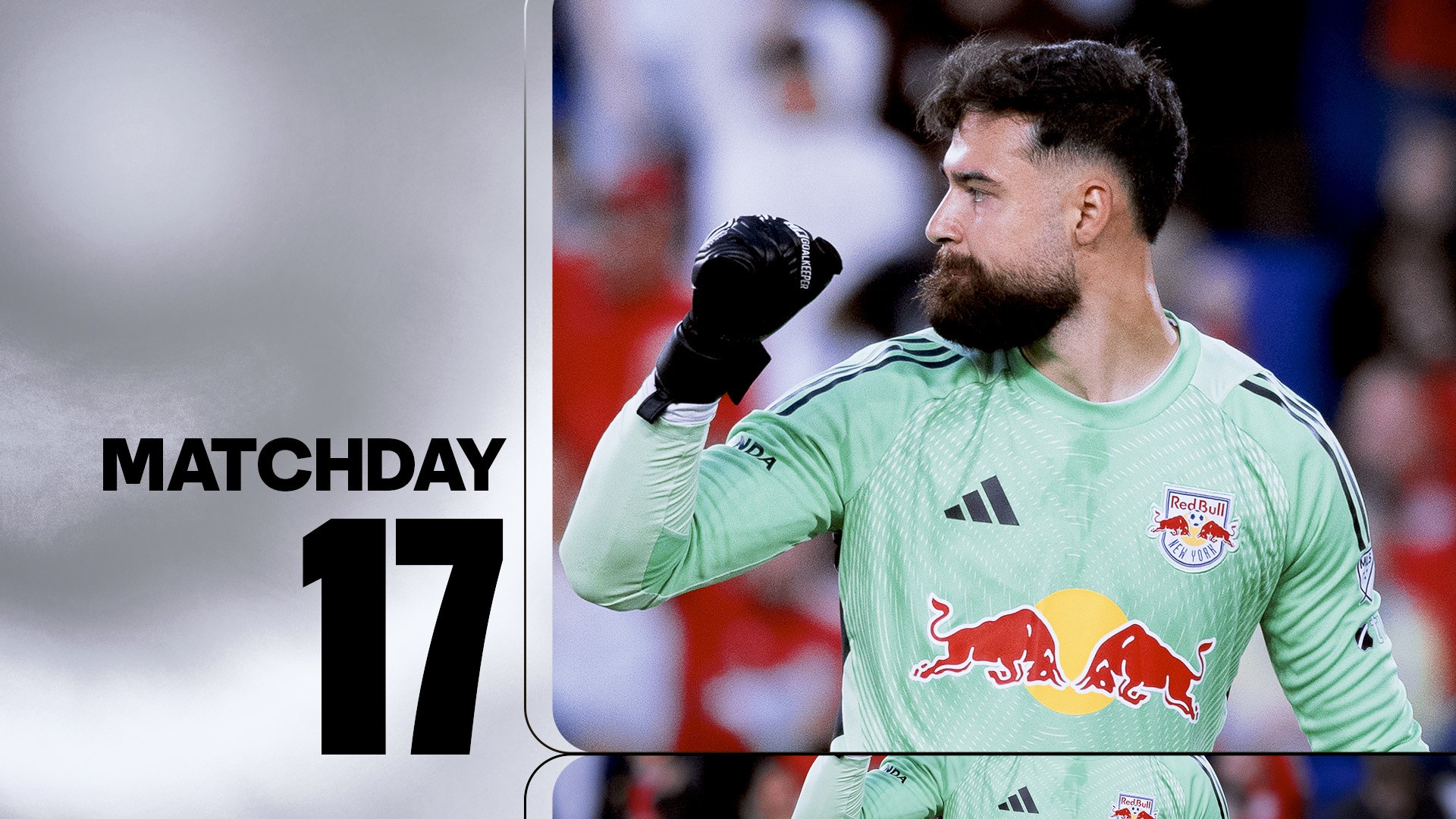 Lo que aprendimos: el héroe no reconocido de RBNY, la profundidad de San Diego