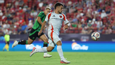 Rabbinho: conejo interrumpe el partido FC Dallas-Austin FC