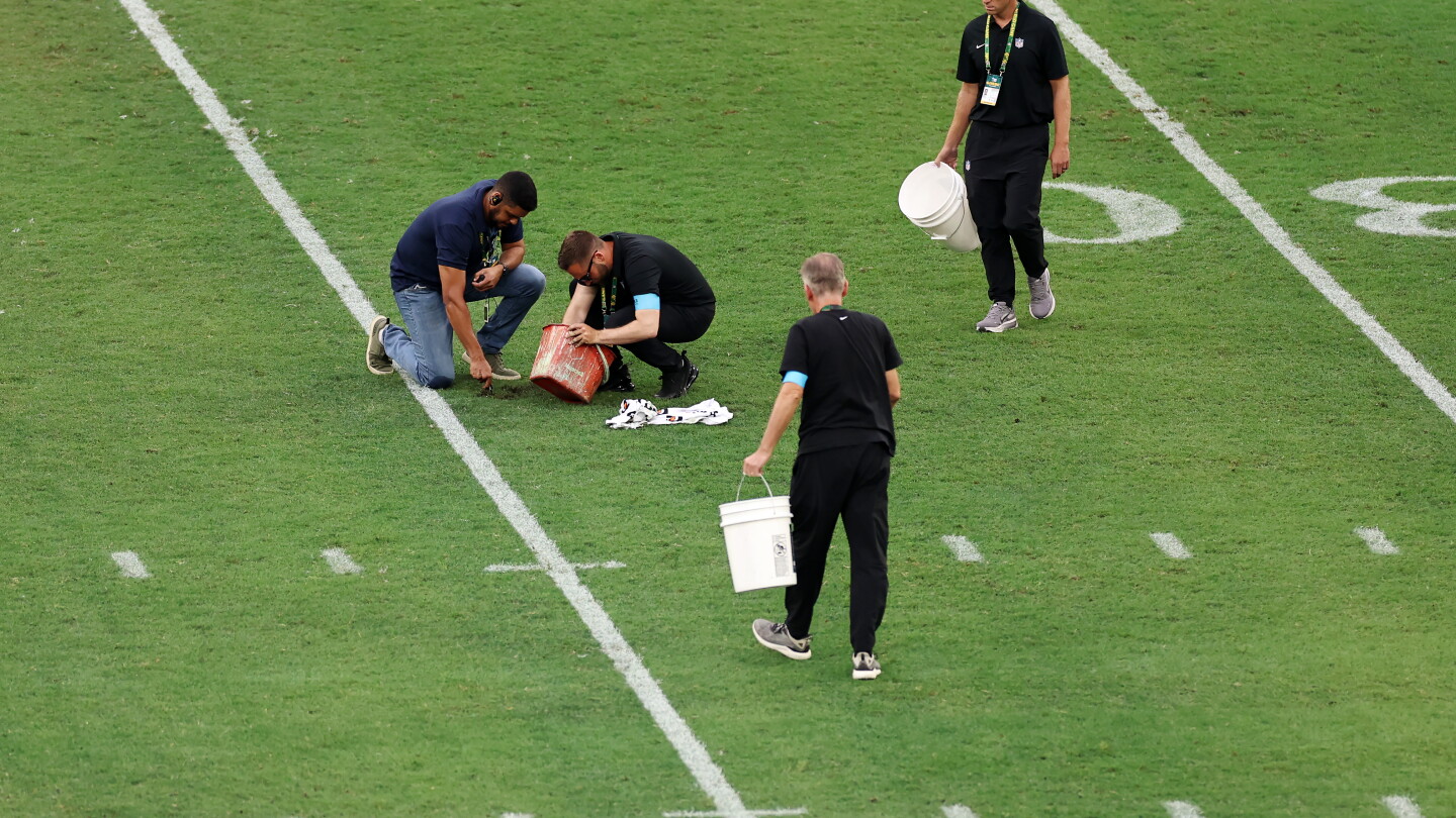 Césped sobrevivió al choque Ravens‑Cowboys, en gran parte.